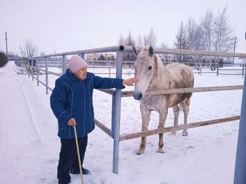 Атлар дәвалый