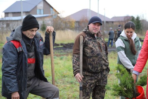 Бөтенроссия  «Урманнарны саклыйк!» акциясе бара