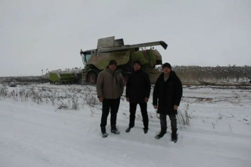 Районда урып-җыю кампаниясе төгәлләнеп килә