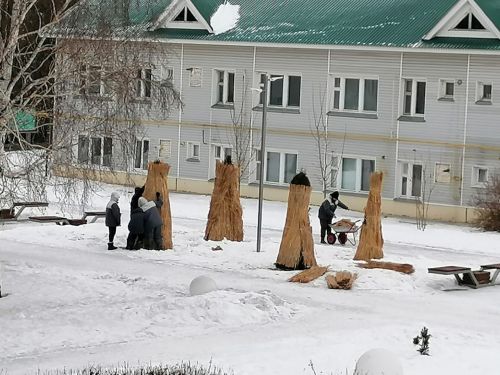 Туялар “күлмәк кия”