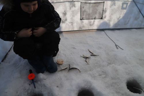 Балыкчылар бәйрәме