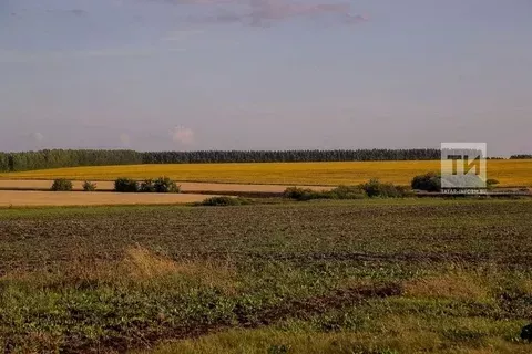 Прокуратура ачыклык кертә