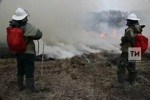 Ут белән уйнама!