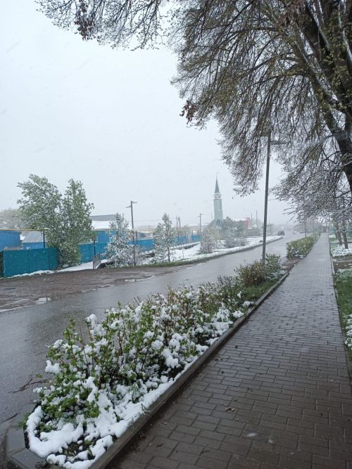 Һава торышы