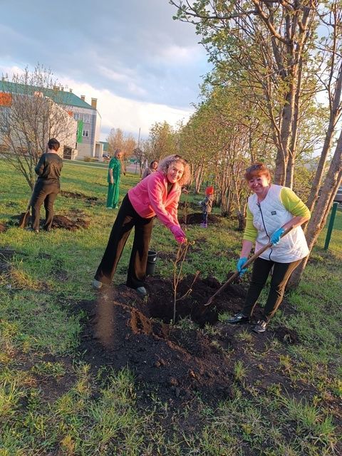 Хәтер бакчасы» бөтенроссия акциясе кысаларында агачлар утыртылды