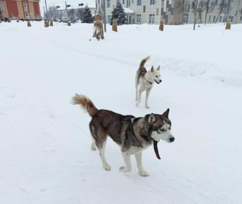 Җаваплылык турында онытмагыз!