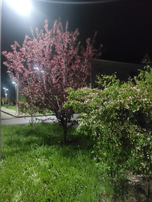 Һава торышы