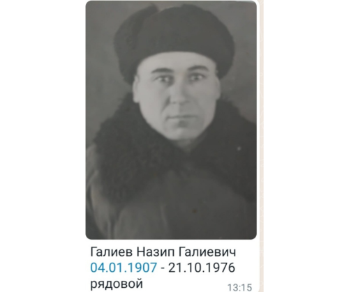 Мөслимнең үлемсез полкы