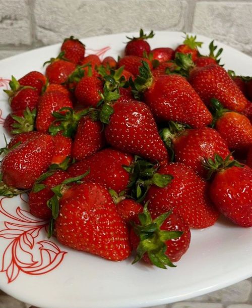 Җиләк алганда ялгышмагыз: мөһим 10 киңәш