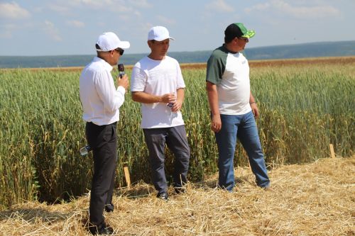 “Туган як” агрофирмасында быел икенче тапкыр Кыр көне узды
