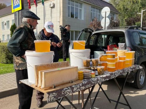 Мөслим районында тавыш бирү оешкан төстә бара