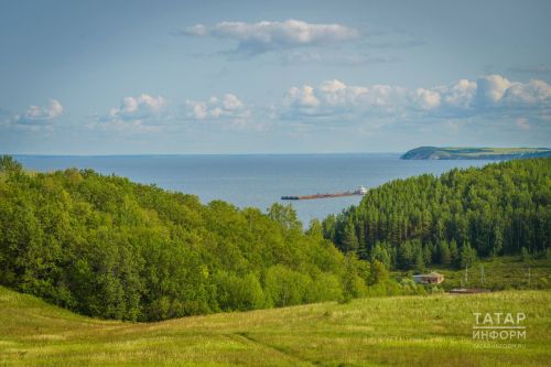 Татарстан урманнарында янгын куркынычы югары булганлыктан кисәтү игълан ителде