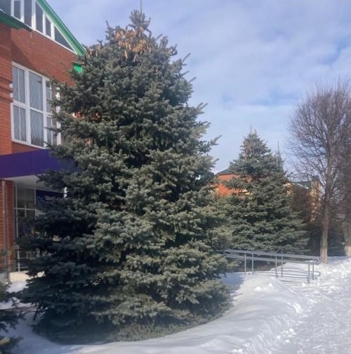 Һава торышы
