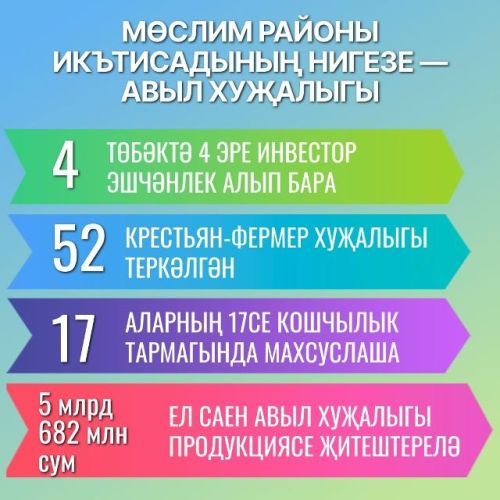 Мөслим районы – аграр район