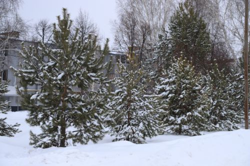 Һава торышы