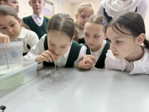 Г.Тукай исемендәге Мөслим урта мәктәбендә Фән көне билгеләп үтелде