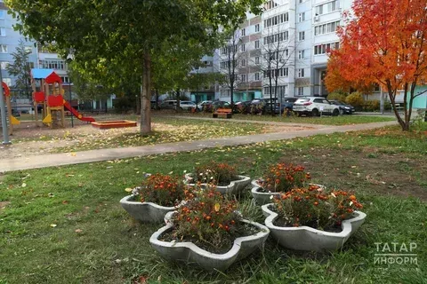 Күпфатирлы йорт ишегалдында бакча ясау штраф белән яный