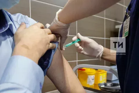 Татарстанда өч меңгә якын кеше талпан энцефалитына каршы прививка ясаткан