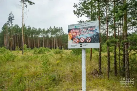 Татарстан урманнарында янгын куркынычы сезоны башланды