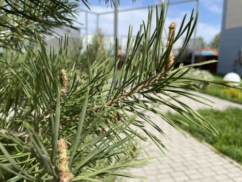 24 апрель көненә һава торышы