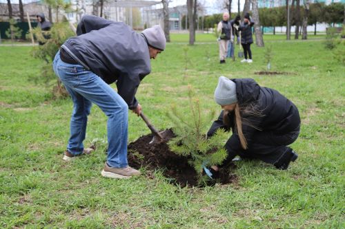 Мөслимлеләр “Хәтер бакчасы” акциясенә актив кушылды