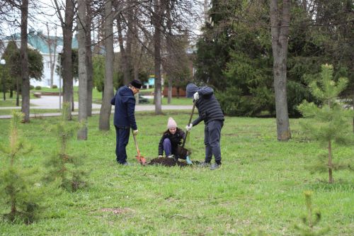 Мөслимлеләр “Хәтер бакчасы” акциясенә актив кушылды