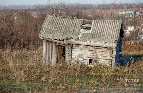 Бу үсемлекләр өчен зур штрафлар бар