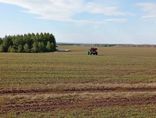 Аграрийлар көзге культураларны тукландыруга кереште