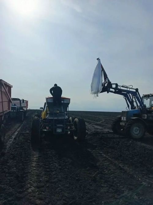 Аграрийлар көзге культураларны тукландыруга кереште