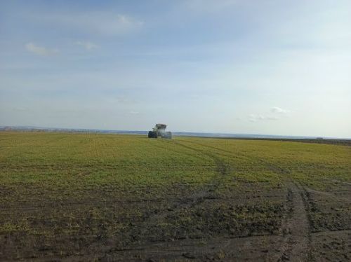 Аграрийлар көзге культураларны тукландыруга кереште