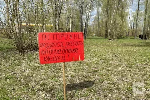 Сезон башыннан Татарстан хастаханәләренә талпан тешләгән ике мең кеше мөрәҗәгать иткән