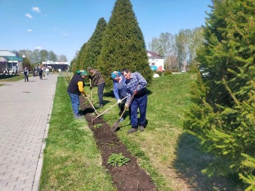 Сугышчан һәм хезмәт даны мемориаль комплексында өмәләр бара