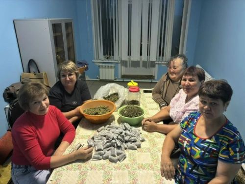 Әмәкәйдә хәрбиләр өчен фито-чәйләр төрәләр