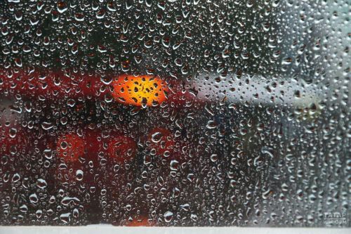 Татарстанда яшенле яңгырлар һәм +24 градуска кадәр җылы булуы көтелә