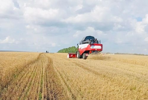 Уракка старт бирелде!