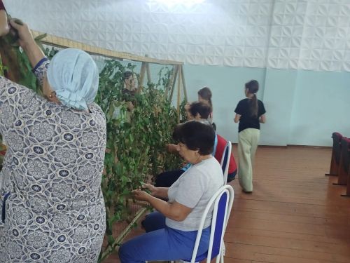 Ташлыяр волонтерлары изге эштә!