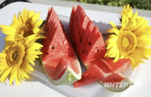 Сәламәтлеккә зыян китермичә, көненә күпме карбыз ашарга ярый?