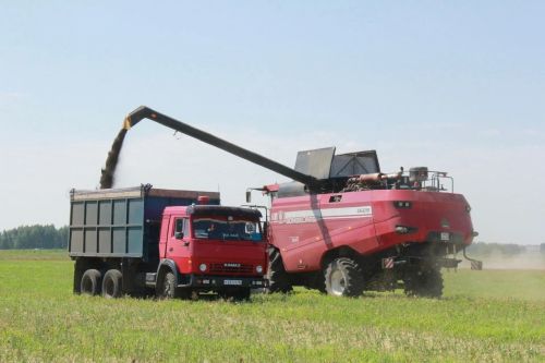 Мөслим районы кырларында яңа уңыш чоры старт алды