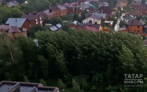 Александр Тыгин: Йортлар янында биек агачлар төтен юлларының эшен бозарга мөмкин
