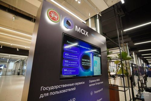 «Дәүләт хезмәтләре» аша штраф хәбәре алганнан соң нишләргә кирәклеге турында сөйләделәр