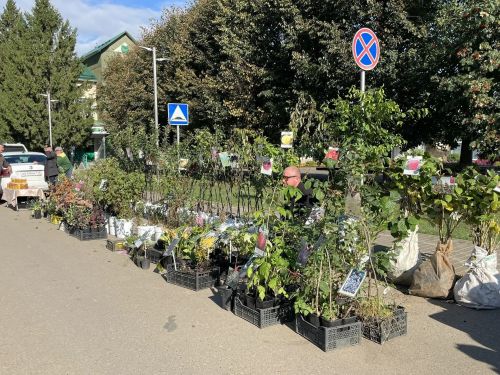 Бу минутларда район мәдәният йорты каршындагы үзәк мәйданда ярминкә башланып китте