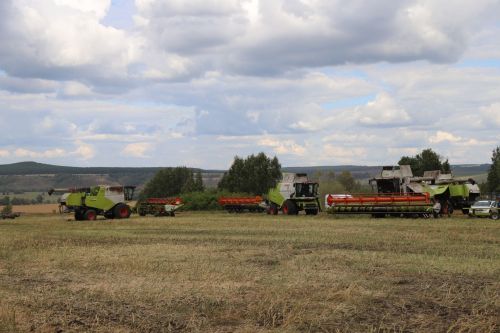 Мөслим районында урып-җыю эшләре 67 процентка үтәлде