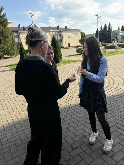 Мөслимдә «Күренеп тор!» акциясе узды