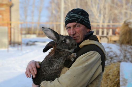 Михайловка мәктәбендә куяннар үстерәләр