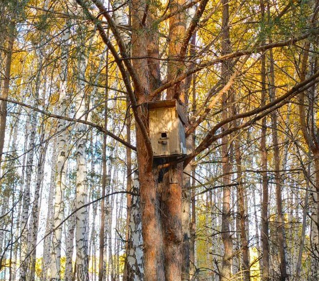 Һава торышы