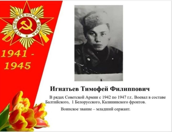 Тимофей Игнатьев