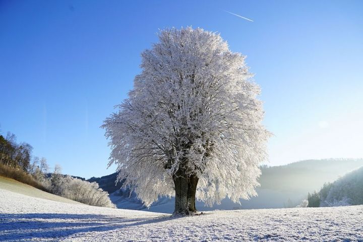 19 гыйнвар көненә Һава торышы