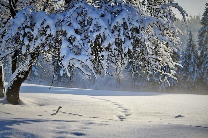 27 декабрь көненә һава торышы