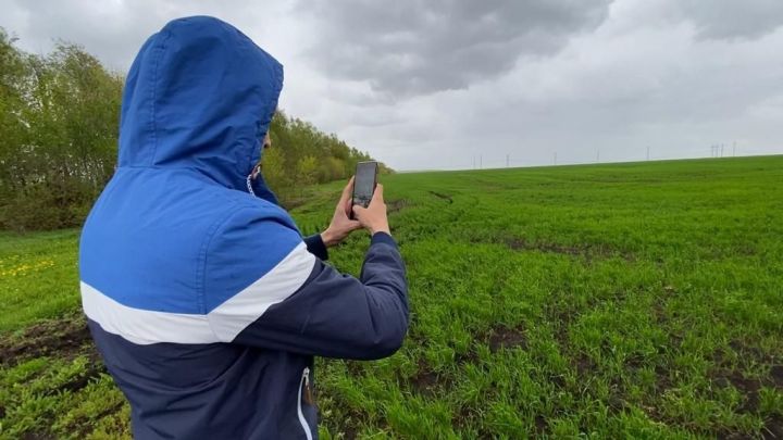 Кыр паспортларын верификацияләү буенча алгоритм эшен җайга салу