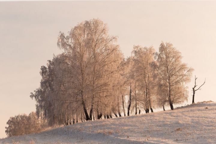 12 гыйнварга Һава торышы